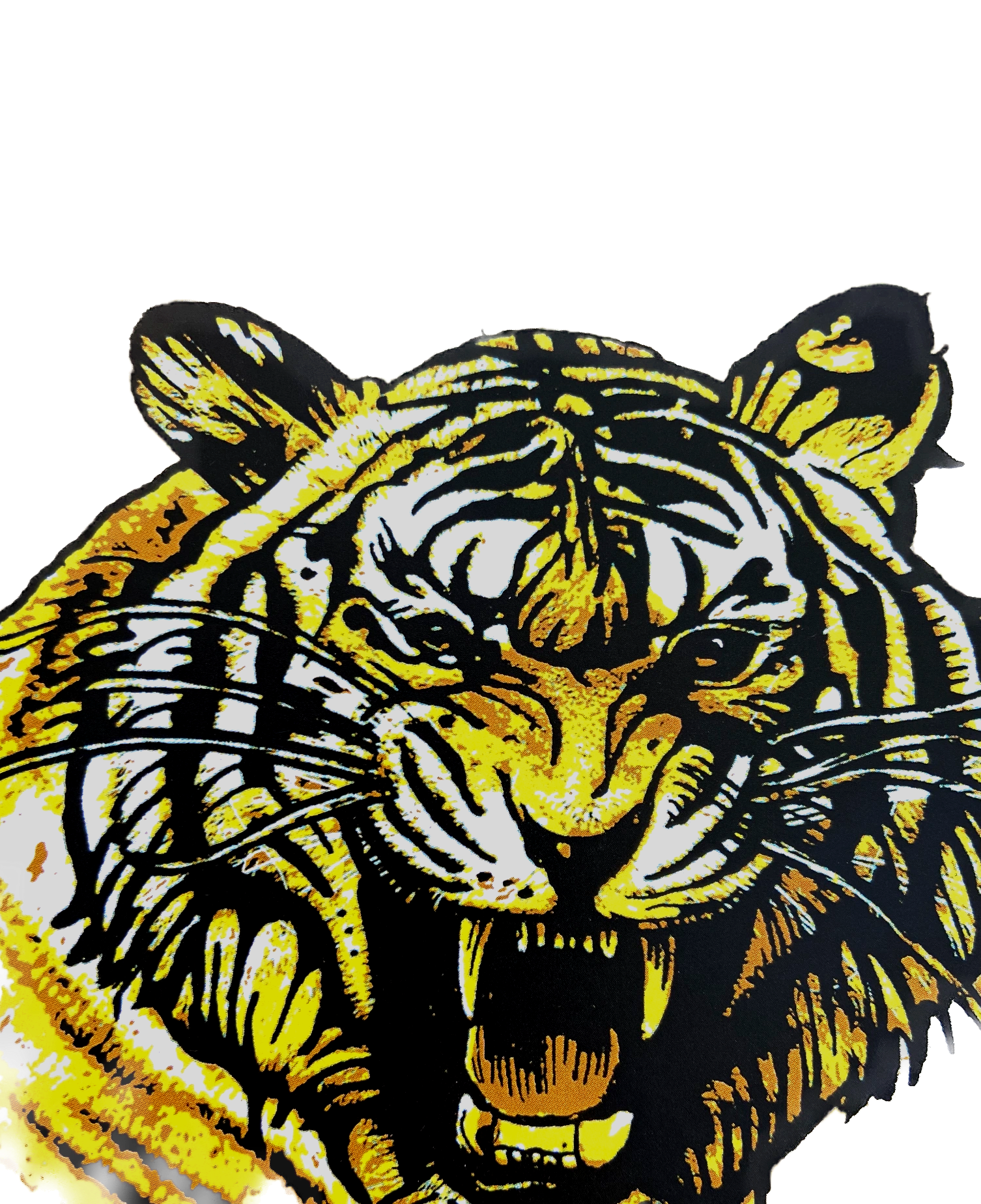 Tiger illustration for Frankenstein in India